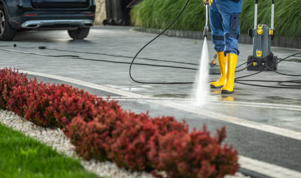 Best House Pressure Washing  in Cottonde, AL