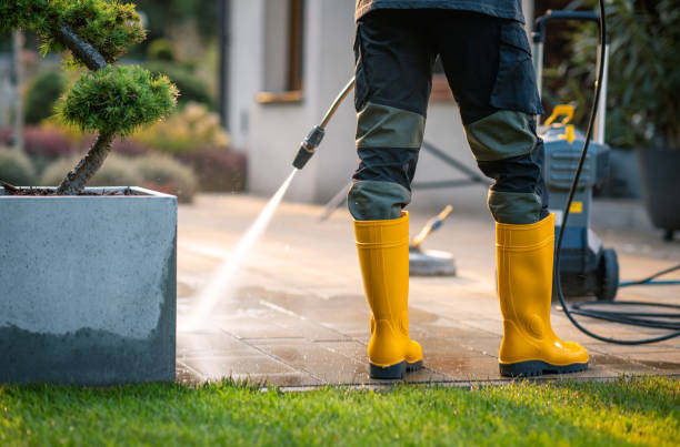  Cottonde, AL Pressure Washing Pros